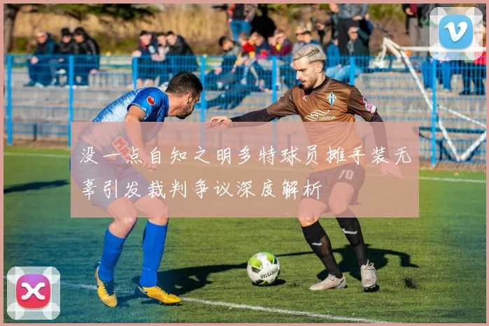 没一点自知之明多特球员摊手装无辜引发裁判争议深度解析