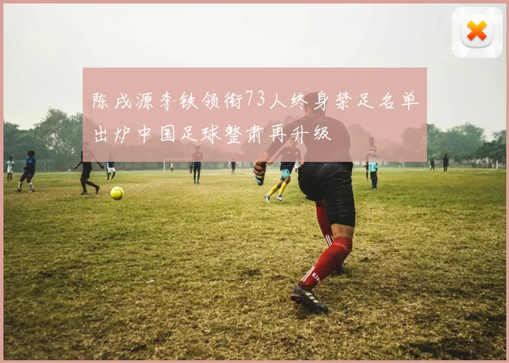 陈戌源李铁领衔73人终身禁足名单出炉中国足球整肃再升级