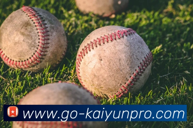 开云官网直连APP 高清赛事图